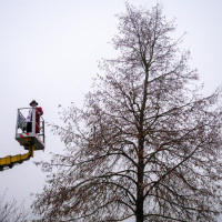 2025 12 27 ringlindenmessen