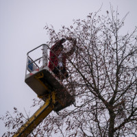 2025 12 27 ringlindenmessen